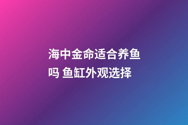 海中金命适合养鱼吗 鱼缸外观选择